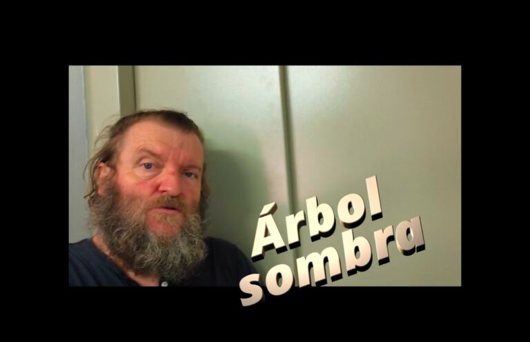REFRANERO : El que a buen árbol se arrima, buena sombra le cobija 070625 eai