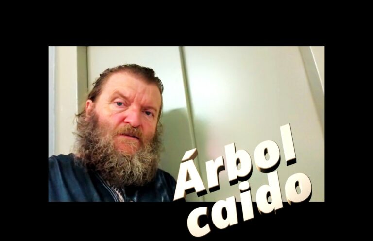 REFRANERO :Del árbol caido, todos hacen leña. 170625 eai