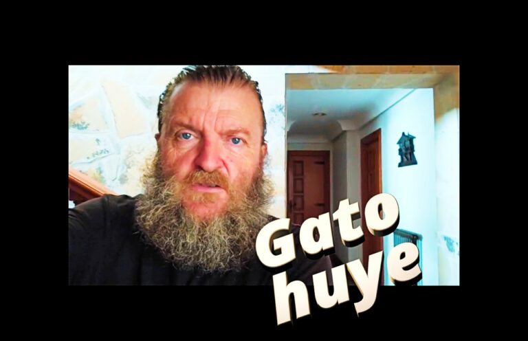REFRANERO : Gato escaldado del agua fría huye.