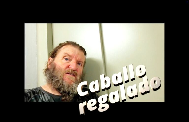 REFRASERO : A caballo regalado, no le mires el diente. 040825 eai