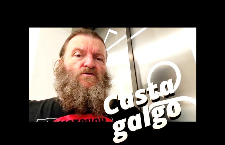 REFRASERO : De casta le viene al galgo ser rabilargo. 160825 eai