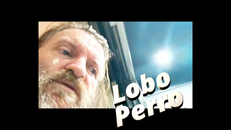 REFRASERO : Mejor Lobo sin manada que perro con amo. 240825 eai